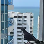 Vista Sonada Cerca Al Mar Y Centro Historico